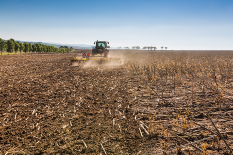 Bednar Swifterdisc XO 5000 F 18